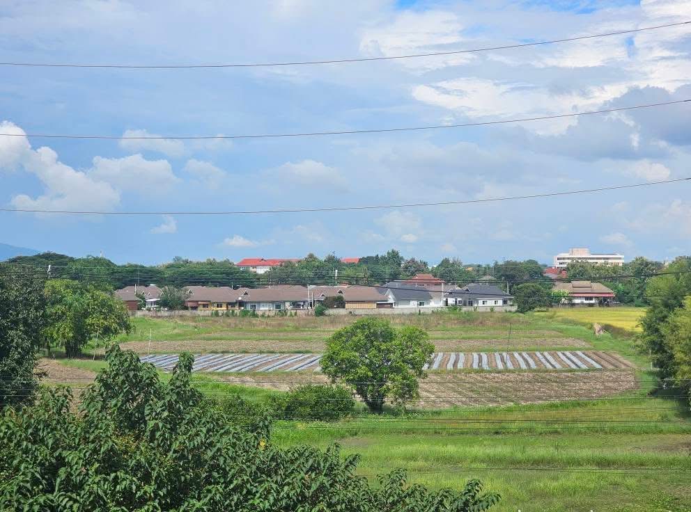 ที่ดิน น้ำแพร่ หางดง 30ไร่