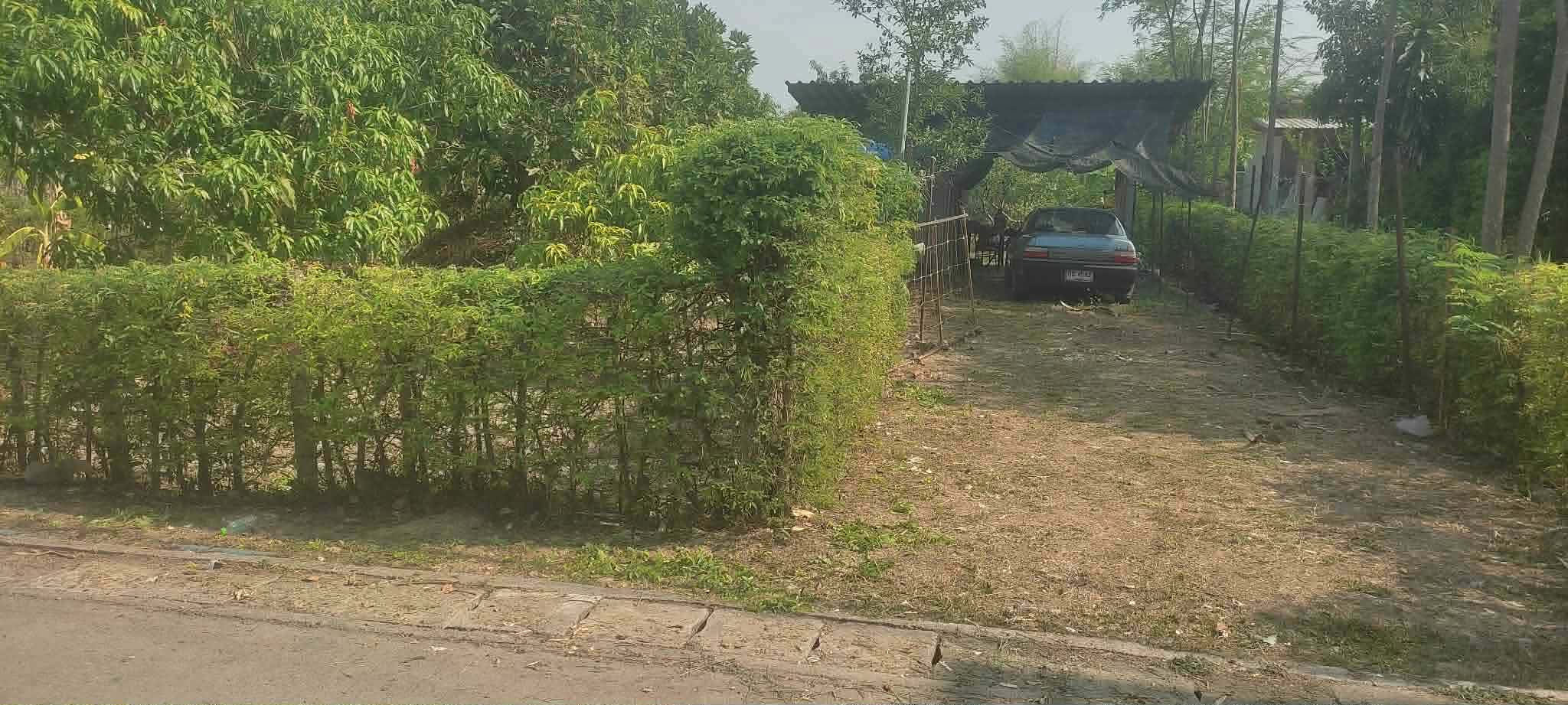 ขายที่สวนมะม่วง ขนาด 2 งาน 11 ตร.ว.
