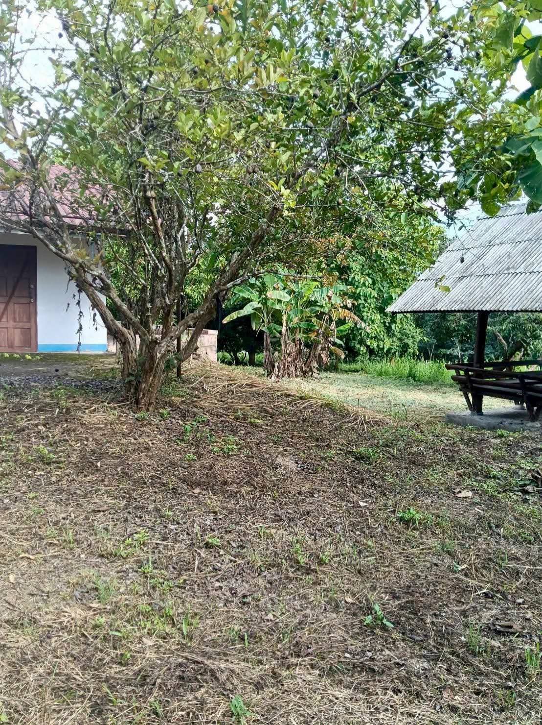 ที่ดินแม่ออนชม.